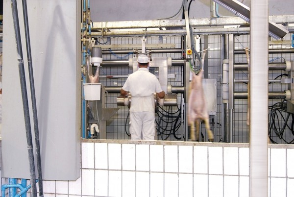 Cárnico: el real decreto de videovigilancia de mataderos podrá estar en vigor a finales de este año