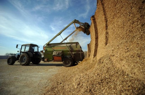 Los precios de materias primas y piensos siguieron presionando al alza los costes del sector ganadero en marzo