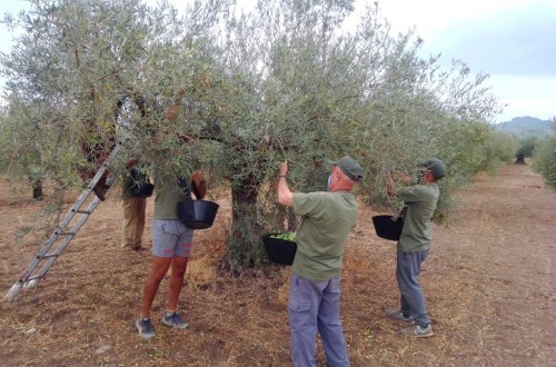 La actividad Agricultura fue la única que creó empleo neto en el primer trimestre de 2021