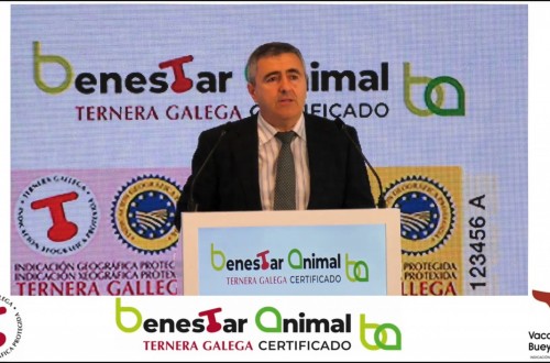 La IGP Ternera Gallega crece en en un mercado donde ya se comercializa con certificado de bienestar animal