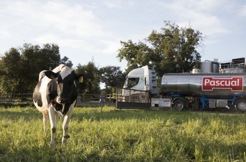 Los precios medios de la leche cruda de vaca en España cerca de la cola de la UE-27 en febrero