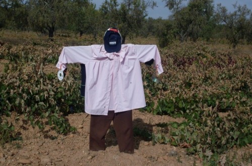 El envejecimiento de los agricultores europeos es uno de los mayores desafíos a los que se enfrentan las zonas rurales