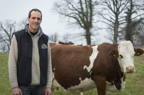 Las OPAS ven lamentables la opinión y las propuestas de Sánchez sobre la ganadería y el consumo de carne en la España 2050