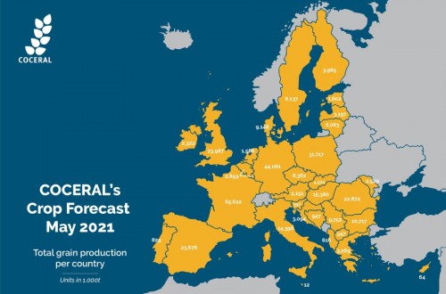 El comercio europeo prevé más trigo y maíz en la UE en la próxima campaña 2021/22