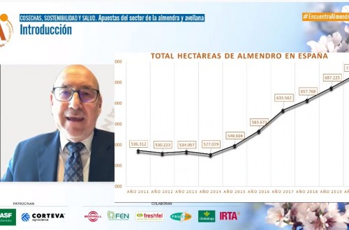 El sector de frutos secos de España trabaja para exportar a China y promocionar la almendra «ibérica»