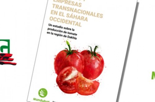 COAG y Mundubat denuncian la “megápolis del tomate” que Marruecos construye ilegalmente en Dakhka, Sáhara Occidental