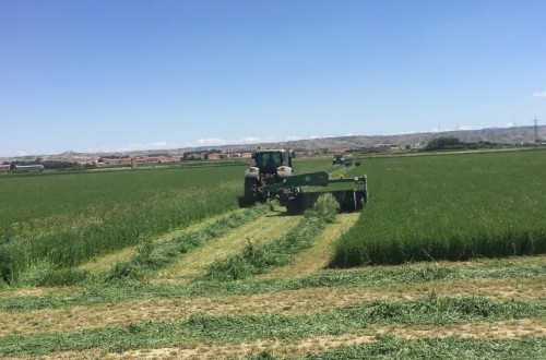 Más de 55 países compraron alfalfa deshidratada española en la campaña 2020/21