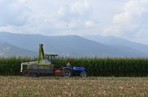 El Índice FAO de precios mundiales de los alimentos básicos aceleró su ritmo de subida en mayo