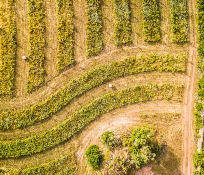 Aumento del 4% en la compraventa de fincas rústicas en noviembre