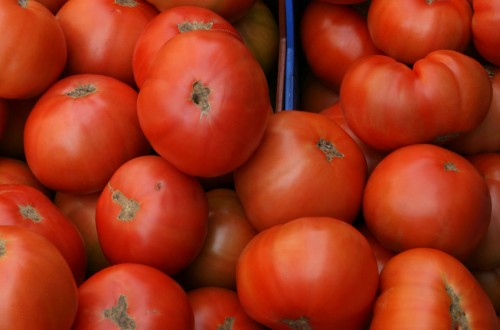 Tomate: FruitVegetablesEUROPE pide a la CE que vigile el incumplimiento del acuerdo con Marruecos