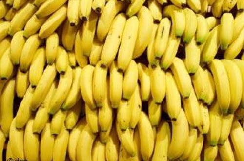 La UE decide no suspender los aranceles que tiene la banana