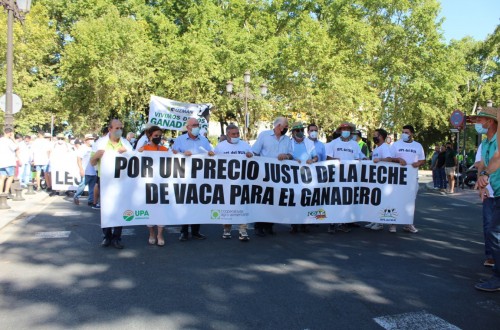 Las OPAS convocan nuevos actos de protesta por el precio de la leche