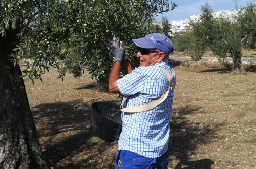 Agricultura fue en junio el único de los grandes sectores económicos donde aumentó el paro registrado