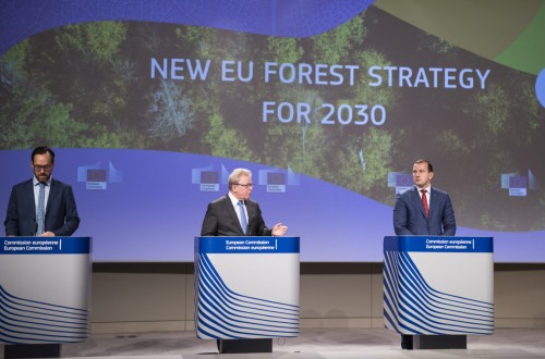 Bruselas propone una nueva Estrategia para proteger y restaurar los bosques comunitarios