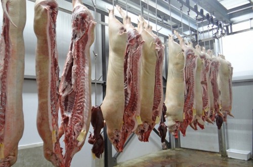 Unión de Uniones insta a buscar alternativas a China para las exportaciones de carne de cerdo