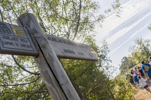 El mundo del vino y del enoturismo se unen al universo del Camino de Santiago. Por ACEVIN