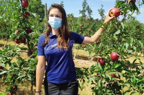 El paro registrado en Agricultura bajó un 7,7% y en casi 13.500 personas en agosto