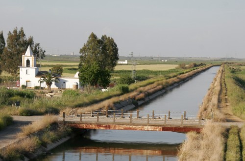 Las políticas comunitarias no garantizan el uso sostenible del agua por los agricultores, según el TCE