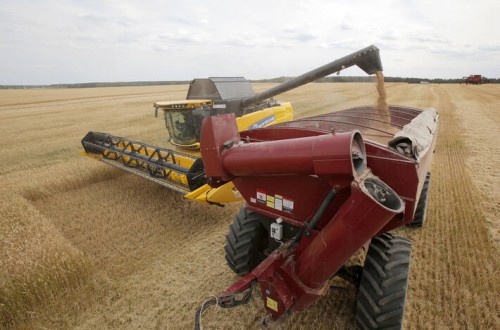 El índice FAO de precios mundiales de los alimentos básicos  recuperó su senda alcista en agosto