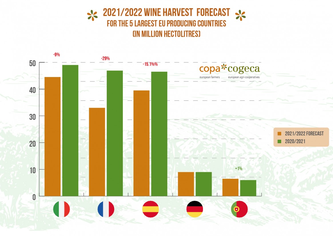 El COPA-Cogeca prevé una producción de vino en la UE-27 históricamente baja en 2021/22