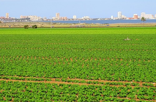 La CE reclama hacer mucho más para reducir la contaminación de las aguas por nitratos de origen agrícola