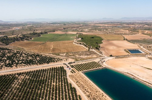 Murcia abona más de 49 millones en concepto de ayudas de la PAC