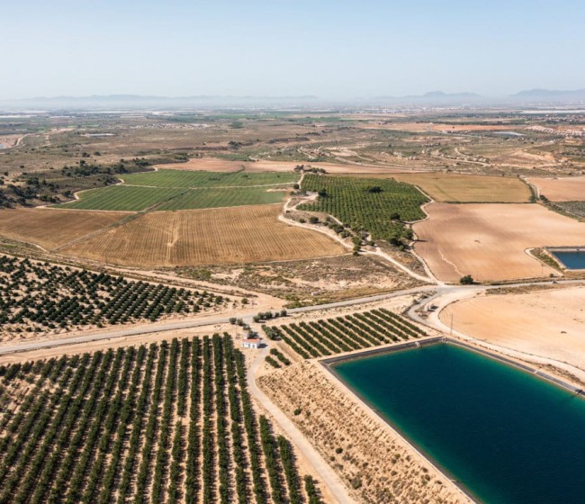 Murcia abona más de 49 millones en concepto de ayudas de la PAC