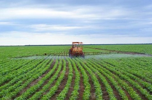 Preocupación mundial por el incremento de los precios de los fertilizantes