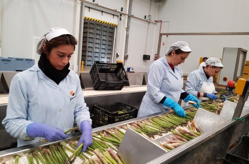 La mujer rural marcará el futuro del sector agroalimentario. Por Jerónima Bonafé.