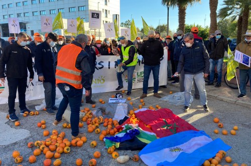 Las OPAs retoman un nuevo proceso unitario de movilizaciones agrarias en todos los territorios del Estado