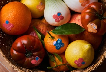 5 al Día lanza una guía para reducir el desperdicio de frutas y hortalizas en hogares españoles