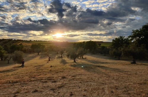 Un año agrario marcado por los altos costes, la nueva PAC y la Ley de la cadena alimentaria