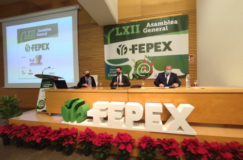 FEPEX expone los retos del sector hortofrutícola para 2022 en su LXII Asamblea General