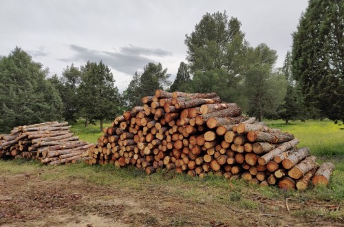 La CE propone reforzar la protección del medio ambiente mediante derecho penal