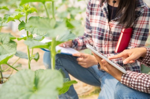 Agricultura publica el II Plan de Acción para la Digitalización 2021-2023 dotado con 64 M€