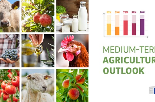 Perspectivas agrícolas 2021-31 en la UE: la sostenibilidad y la salud marcarán el devenir de los mercados