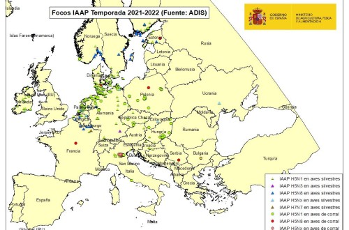 El MAPA reclama estrechar las medidas de bioseguridad ante la expansión de la «gripe aviar» en Europa