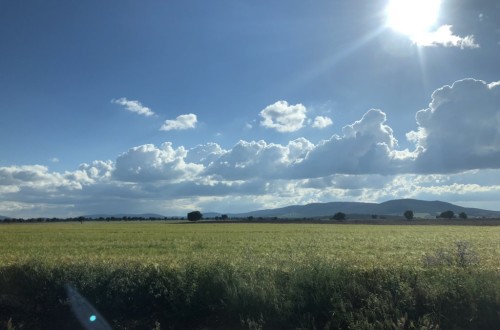 El coste de los insumos se «comió» casi un 95% de la renta agraria de 2021