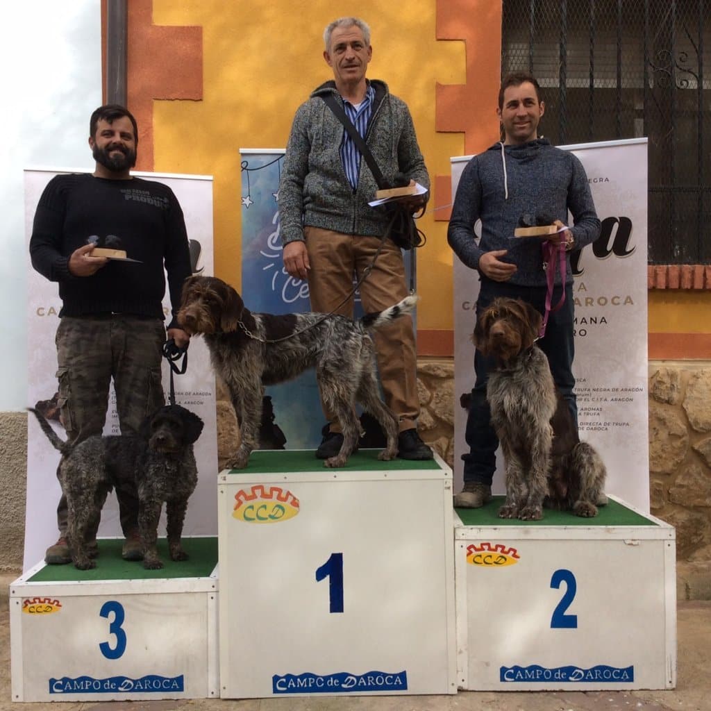 Ganadores-II-Concurso-Perros-Truferos-Campo-de-Daroca-_baja.jpg