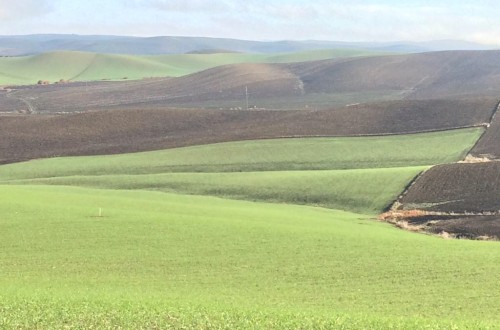 A consulta pública el proyecto de norma del SIEX, el Sistema de Información de Explotaciones Agrarias