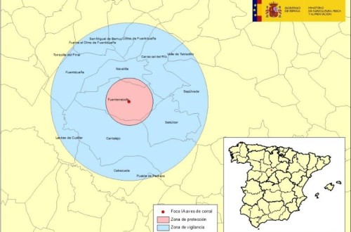 Declarado el primer foco de gripe aviar en España en especies domésticas en una granja de pavos de Segovia