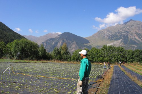 La fuerte subida de precios de los insumos quebró ostensiblemente la Renta Agraria de 2021