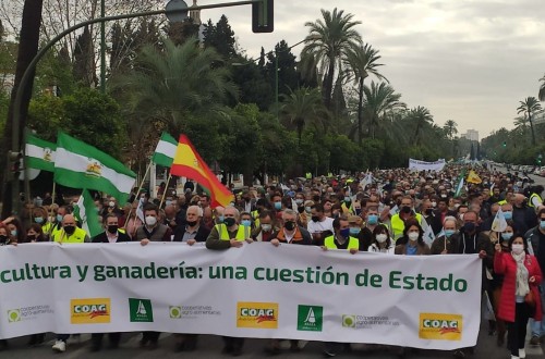 El campo vuelve a protestar y manifestarse en Andalucía, Comunidad Valenciana y Castilla y León este 25-F