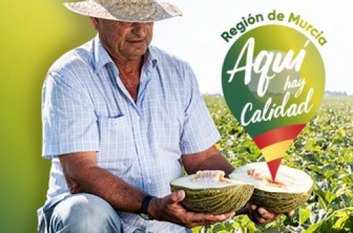 Agricultores y empresas murcianas planifican la campaña de melón y sandía solicitando garantías a clientes