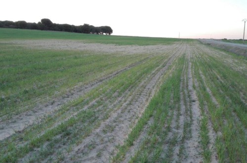 Alerta por sequía en la mitad del campo y los regantes piden que se invierta en obras de regulación del agua