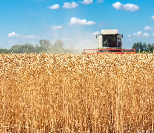 El paro en la agricultura sube un 1,87% en octubre, hasta los 87.514 desempleados