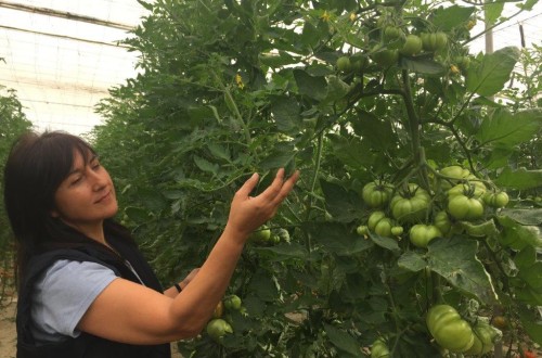 Cuando la mujer rural se baja del tractor: mitos y realidades. Por Inmaculada Idañez   