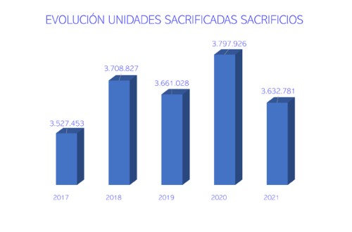 ASICI presenta unos resultados de producción 2021 estables que avalan «la robustez» del sector ibérico