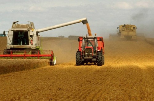 FAO: «la guerra en Ucrania amenaza la seguridad alimentaria de al menos medio centenar de países»