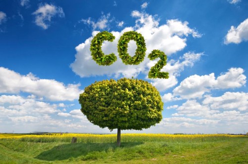 El Consejo de la UE-27 adopta sus conclusiones a favor de fomentar y remunerar la denominada “agricultura de carbono”